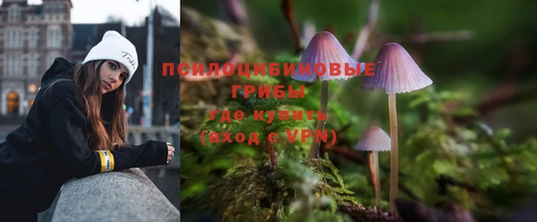 PSILOCYBIN Краснотурьинск